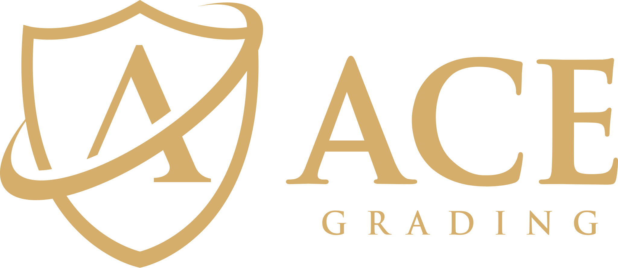 ACE Grading
